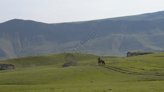 新疆牧场牧民生活马匹骑马GIF图片