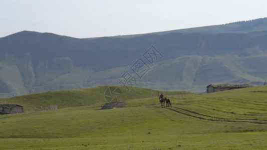 草原小屋新疆牧场牧民生活马匹骑马GIF高清图片