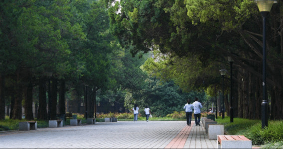 校园植物校园学生GIF高清图片