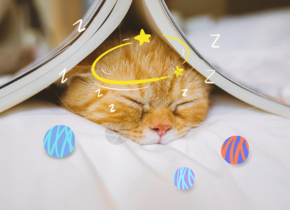 可爱猫咪与书本创意漫画可爱喵咪打瞌睡插画