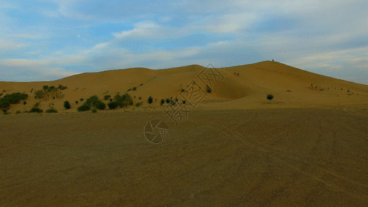内蒙牛羊沙漠GIF高清图片
