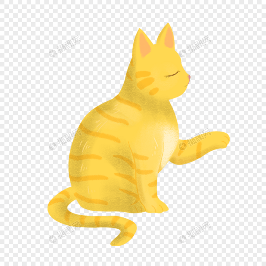 黄色小猫图片