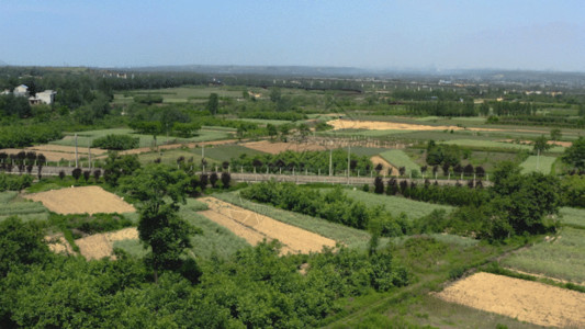 葡萄园风景铁路绿化GIF高清图片