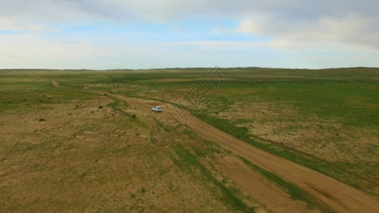 内蒙大草原的牛塞外草原GIF高清图片