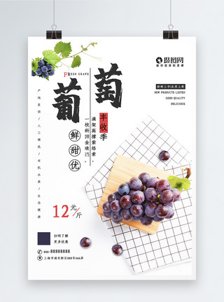 紫色葡萄边框葡萄水果海报模板