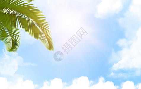 蓝天白云山天空树叶背景设计图片