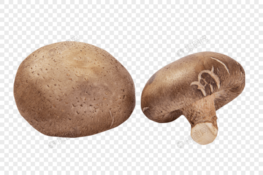 香菇图片