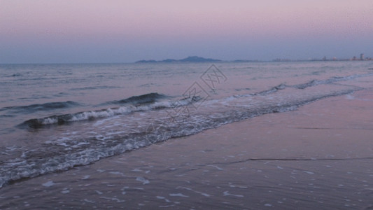 夕阳鸟海边GIF高清图片