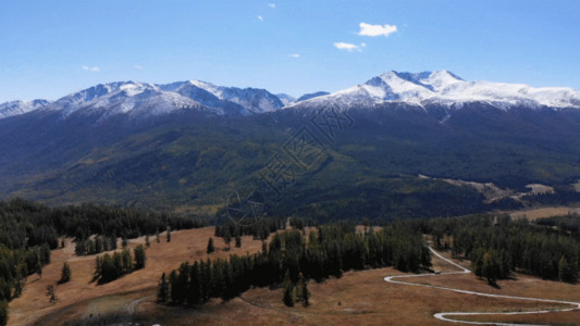 山峰森林森林雪山GIF高清图片