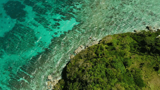 热带海岛海龟海岸航拍GIF高清图片