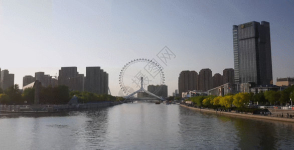天津海河解放桥天津永乐桥延时摄影GIF高清图片