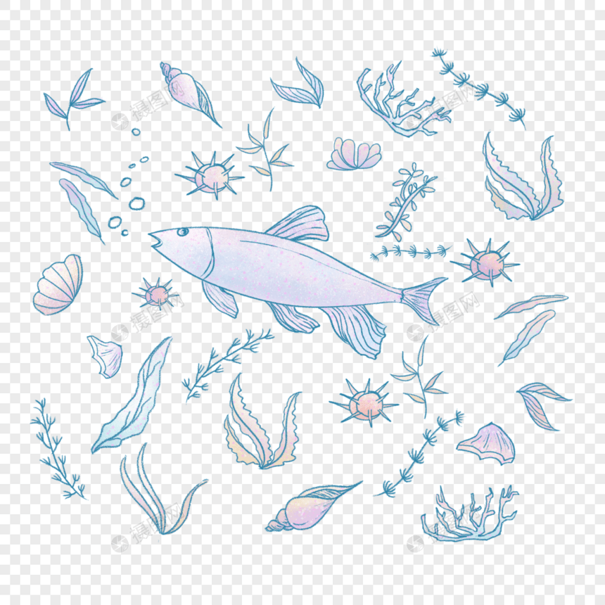 小鱼与海草的背景图片