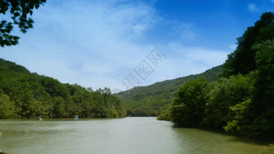 休闲夏日植物河流GIF高清图片