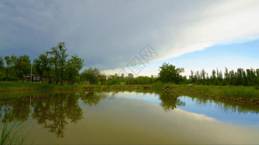 树湿地乌云散开延时GIF高清图片