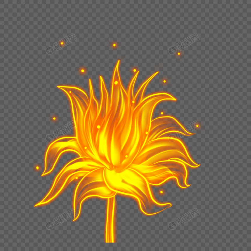 火焰抽象花朵图片