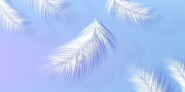 白色清新小羽毛背景背景图片