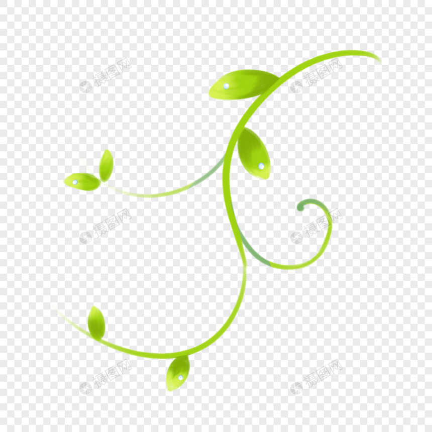 手绘绿色曲线藤蔓水滴图片