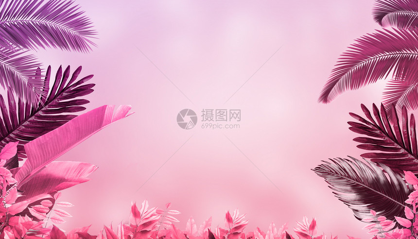 粉色叶子背景图片