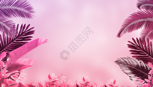 粉色叶子背景图片