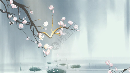 古典木门中国风手绘玉兰花插画gif动图高清图片