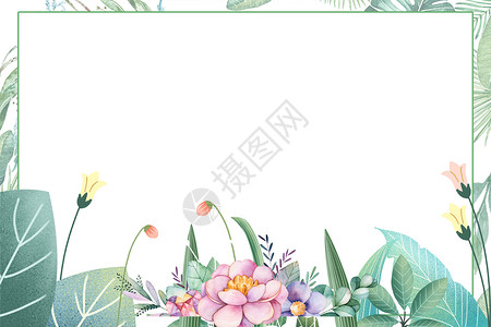 花卉叶子边框清新绿色植物背景设计图片