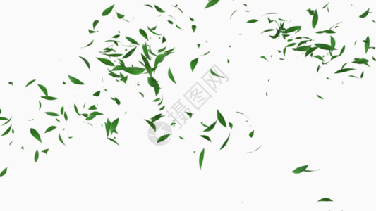 茶叶动态素材树叶飘落GIF高清图片