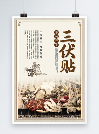 中国风益母草中药材系列海报中国风三伏贴养生海报模板