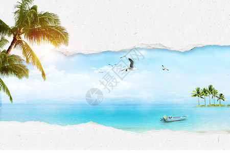 小船与海鸥夏日背景设计图片
