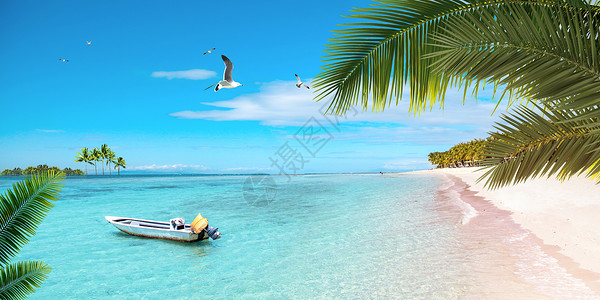 小船与海鸥夏季沙滩设计图片