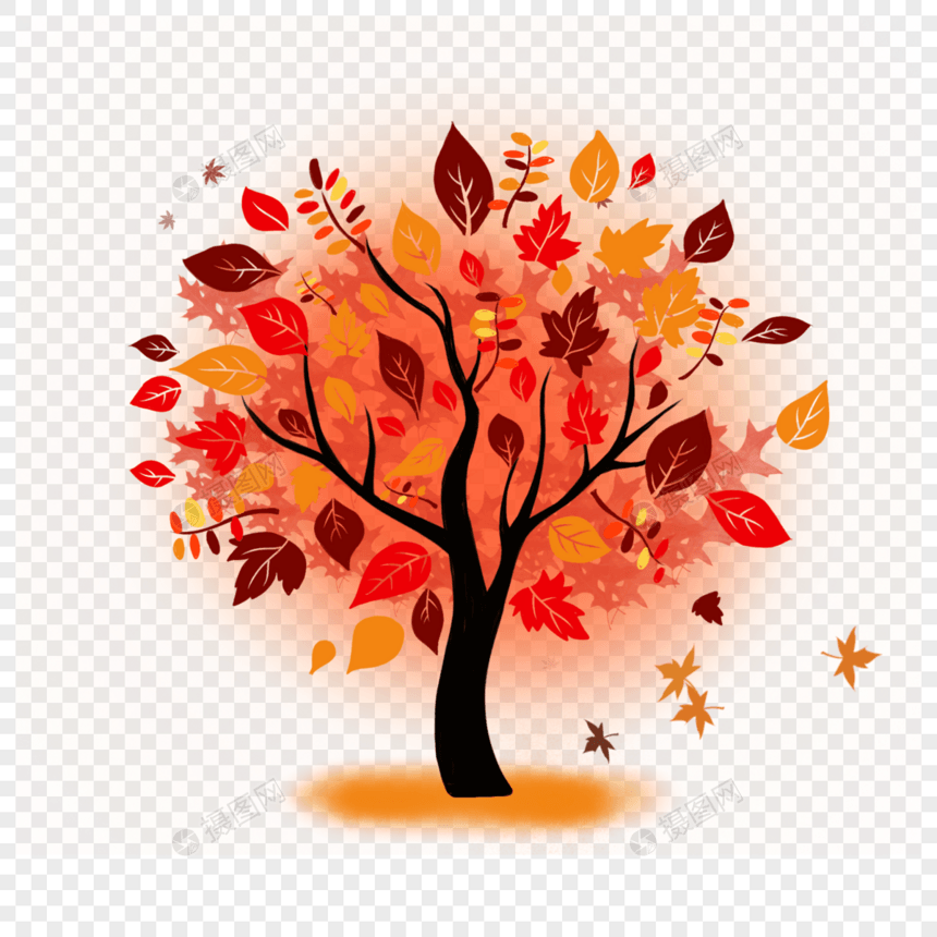 落叶的树图片