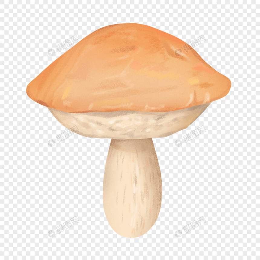 手绘写实黄蘑菇图片