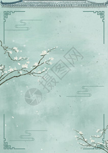 孔雀底纹中国风海报背景GIF高清图片
