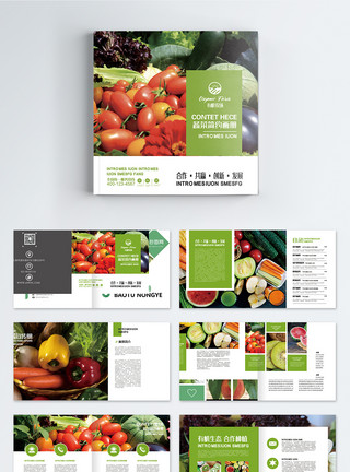 西红柿苹果果蔬产品画册整套模板