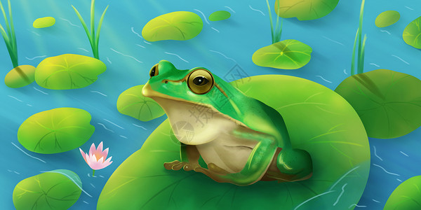 石锅牛蛙夏天的青蛙插画