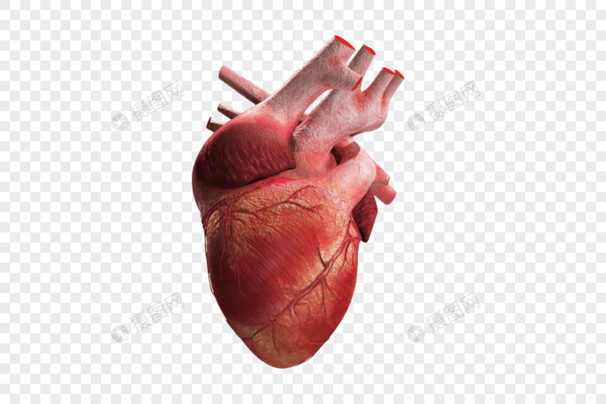 医疗科幻心脏图片