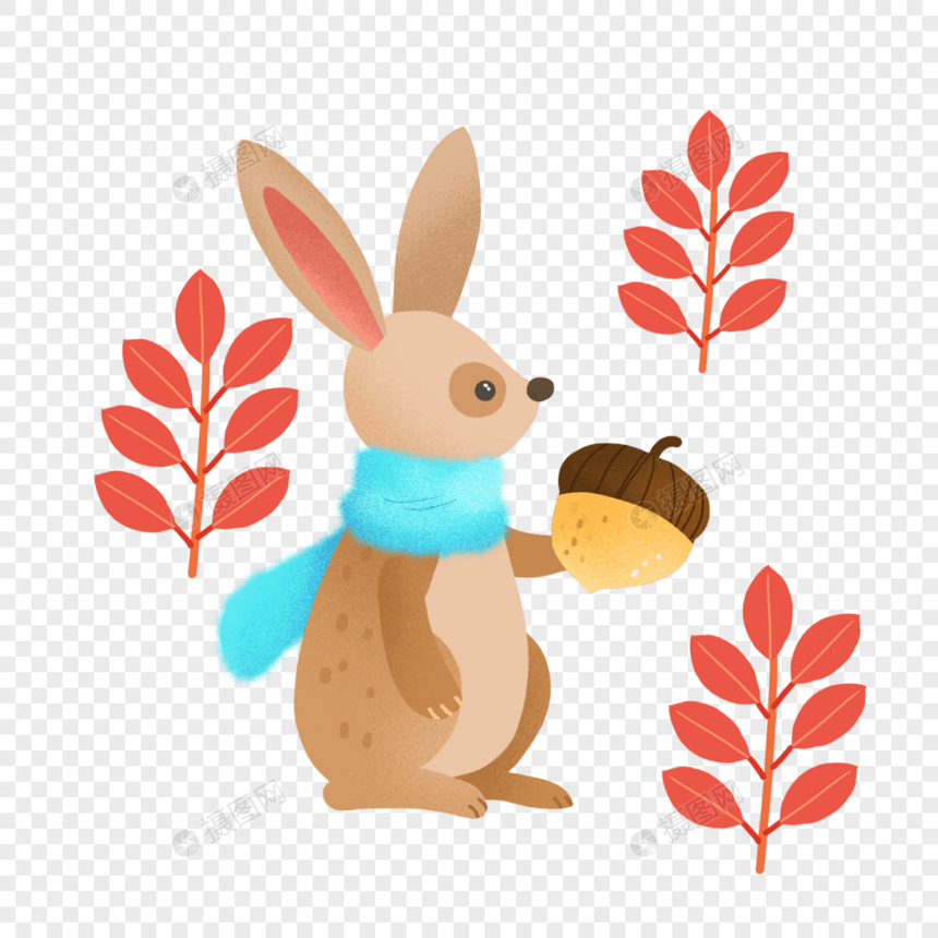 秋天戴围巾的兔子图片