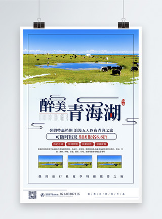 青海湖骑行醉美青海湖风景区旅游海报模板