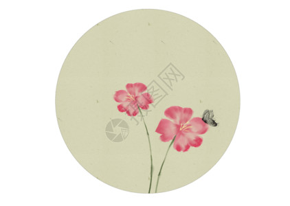 粉色小野花国风花卉gif高清图片
