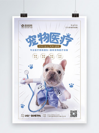 波尔多犬宠物医疗海报设计模板