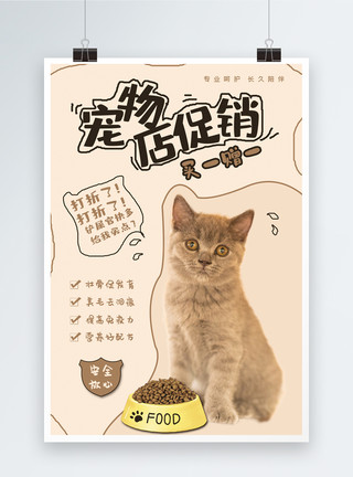 委屈小猫简约风宠物店促销海报设计模板