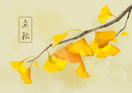金黄的银杏叶立秋背景插画gif高清图片