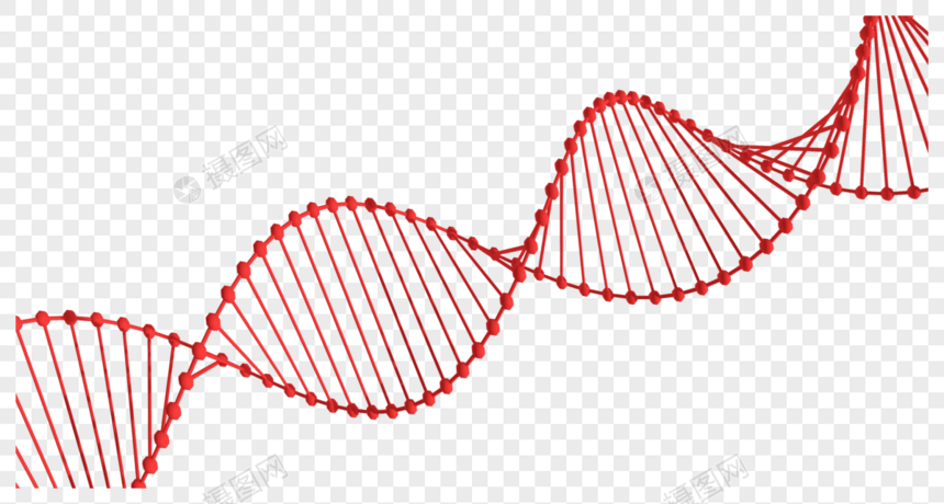 DNA双螺旋结构