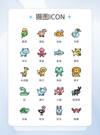 鸡肉丁UI设计icon图标彩色mbe风格可爱动物模板