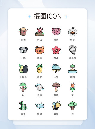 工笔花卉动物UI设计icon图标彩色mbe风格自然动物植物模板