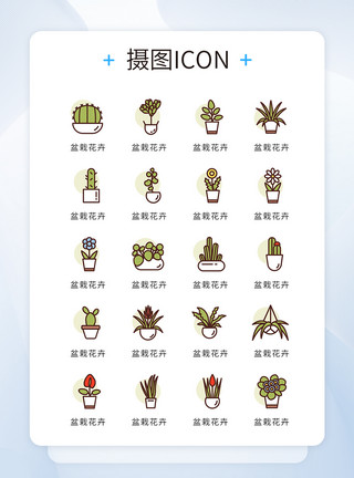 清新植物底纹UI设计icon图标复古风植物盆栽模板