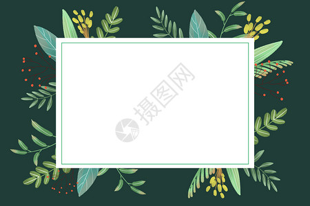清新绿植边框手绘处暑树叶背景插画插画