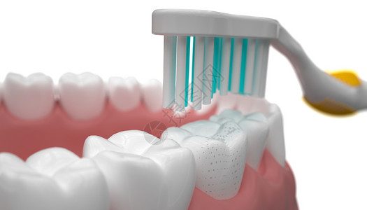 刷牙C4D牙齿高清图片