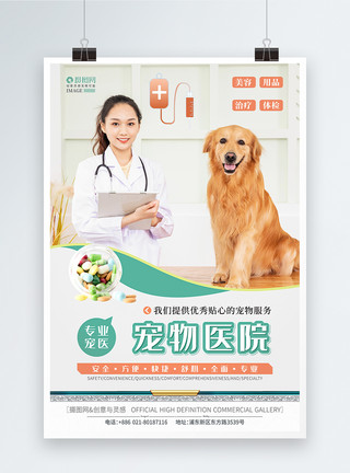 宠物训练宠物医院商店海报模板
