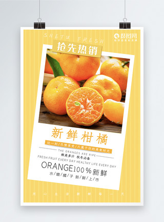 美味柑橘新鲜柑橘海报模板