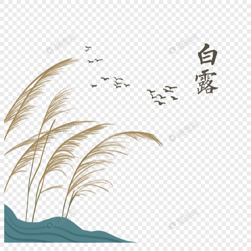 白露场景节气插画图片